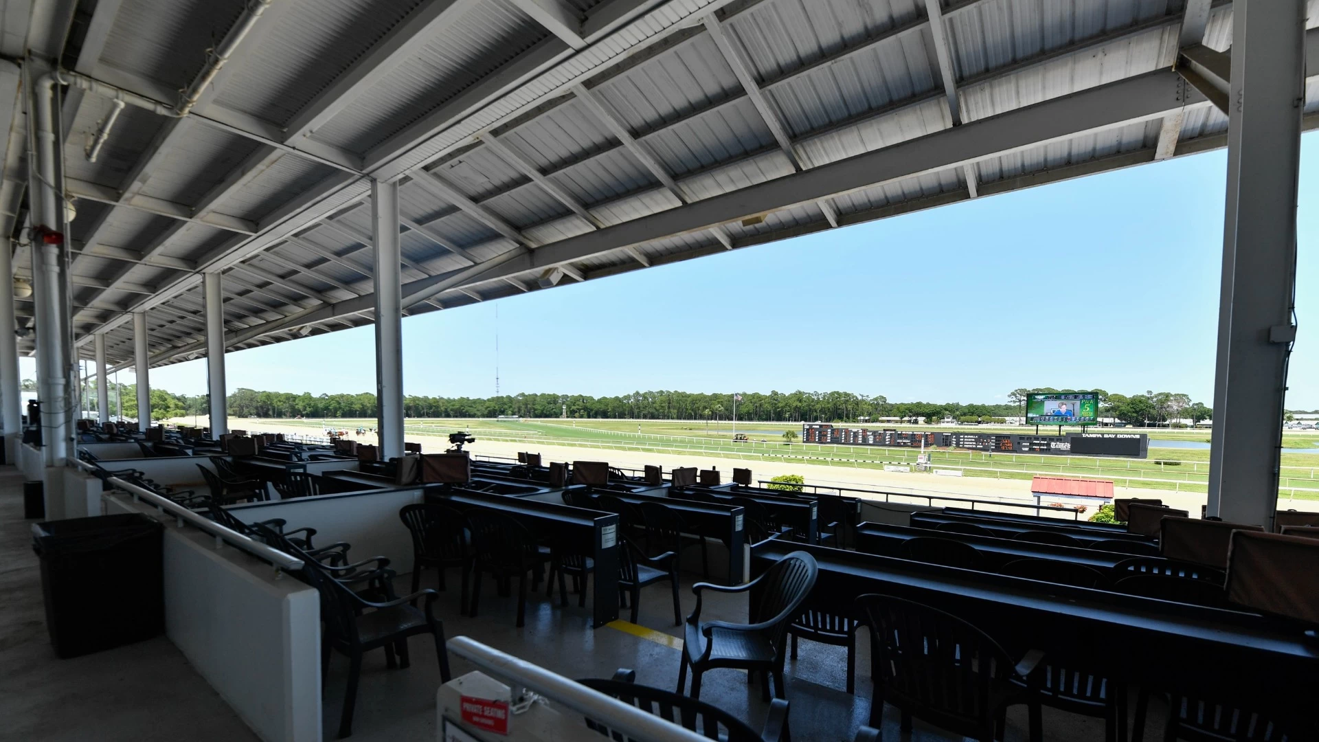 Previewing Tampa Bay Downs Races: Pasco & Gasparilla