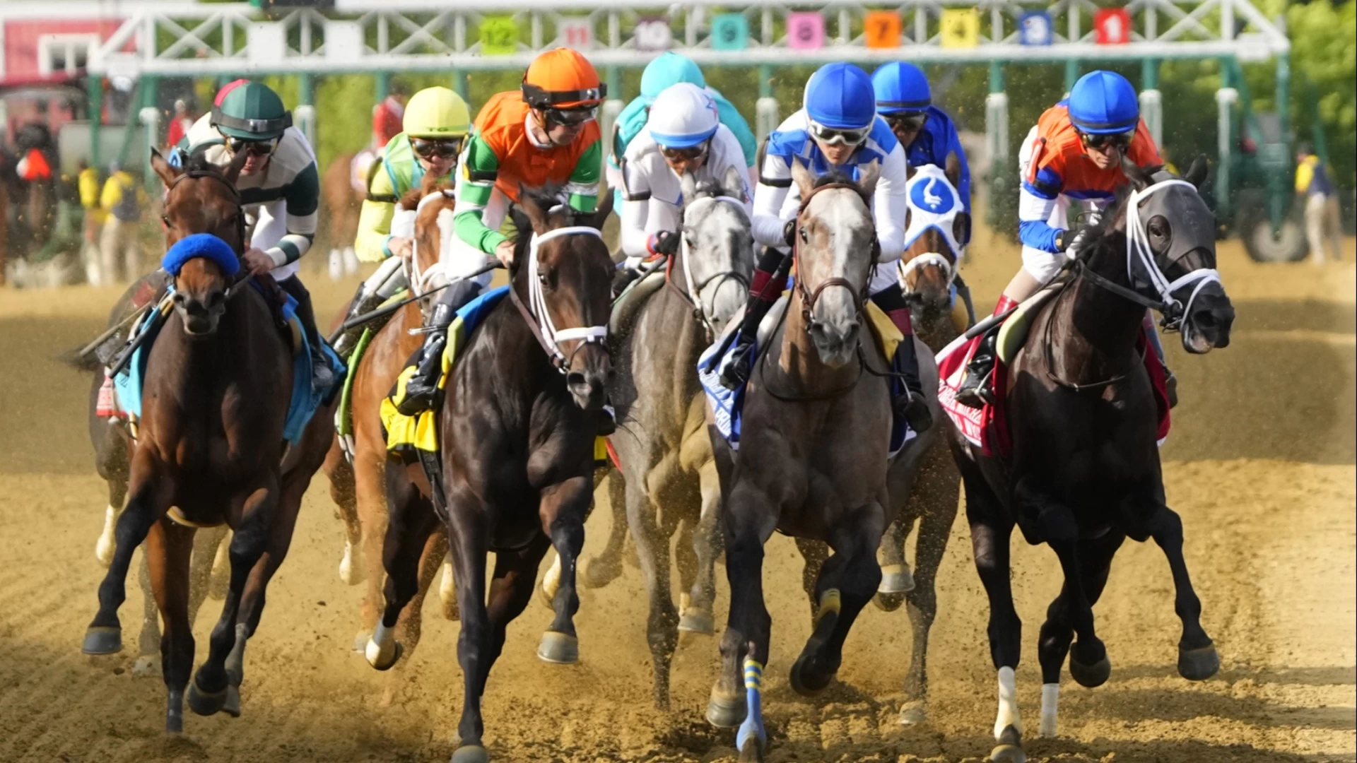 Pegasus World Cup Preview 2025: Horse by Horse Analysis