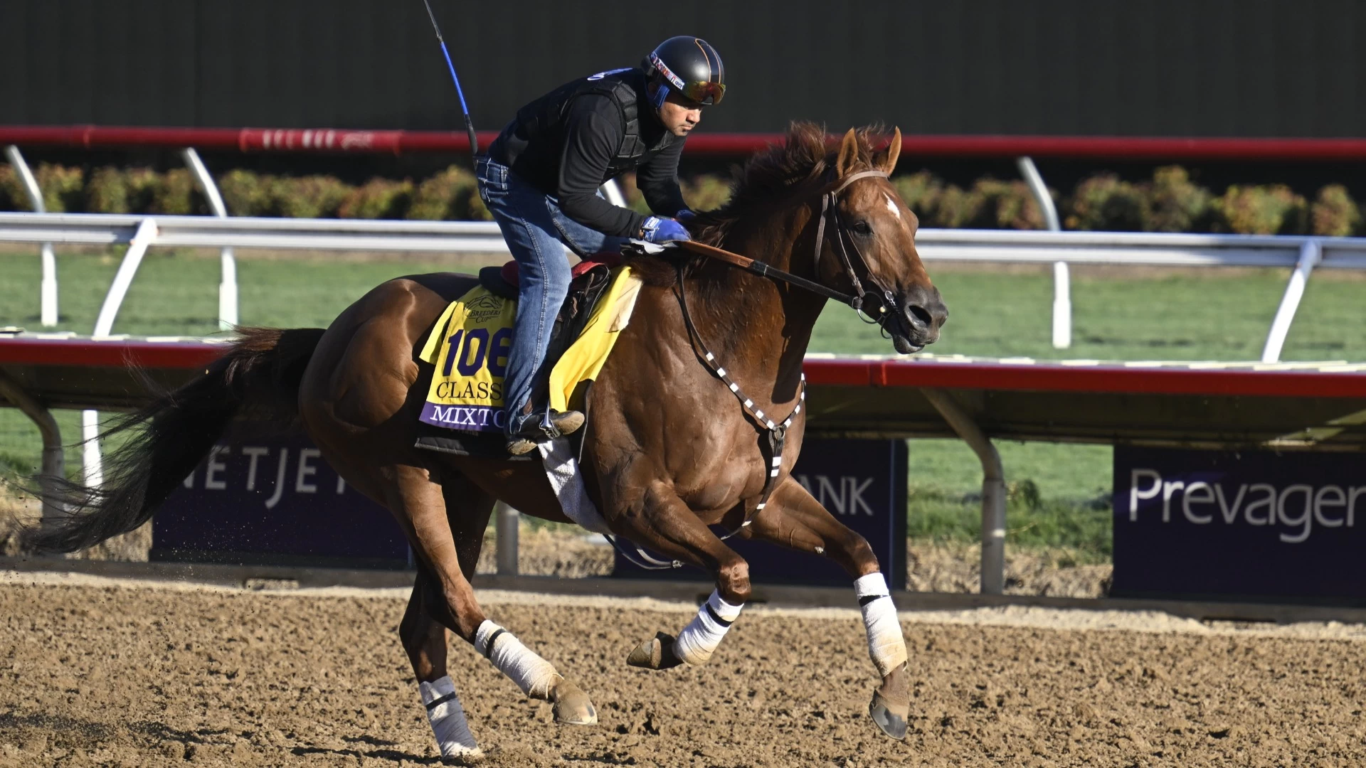 Reviewing Pacific Classic Winner Mixto's Upcoming Race
