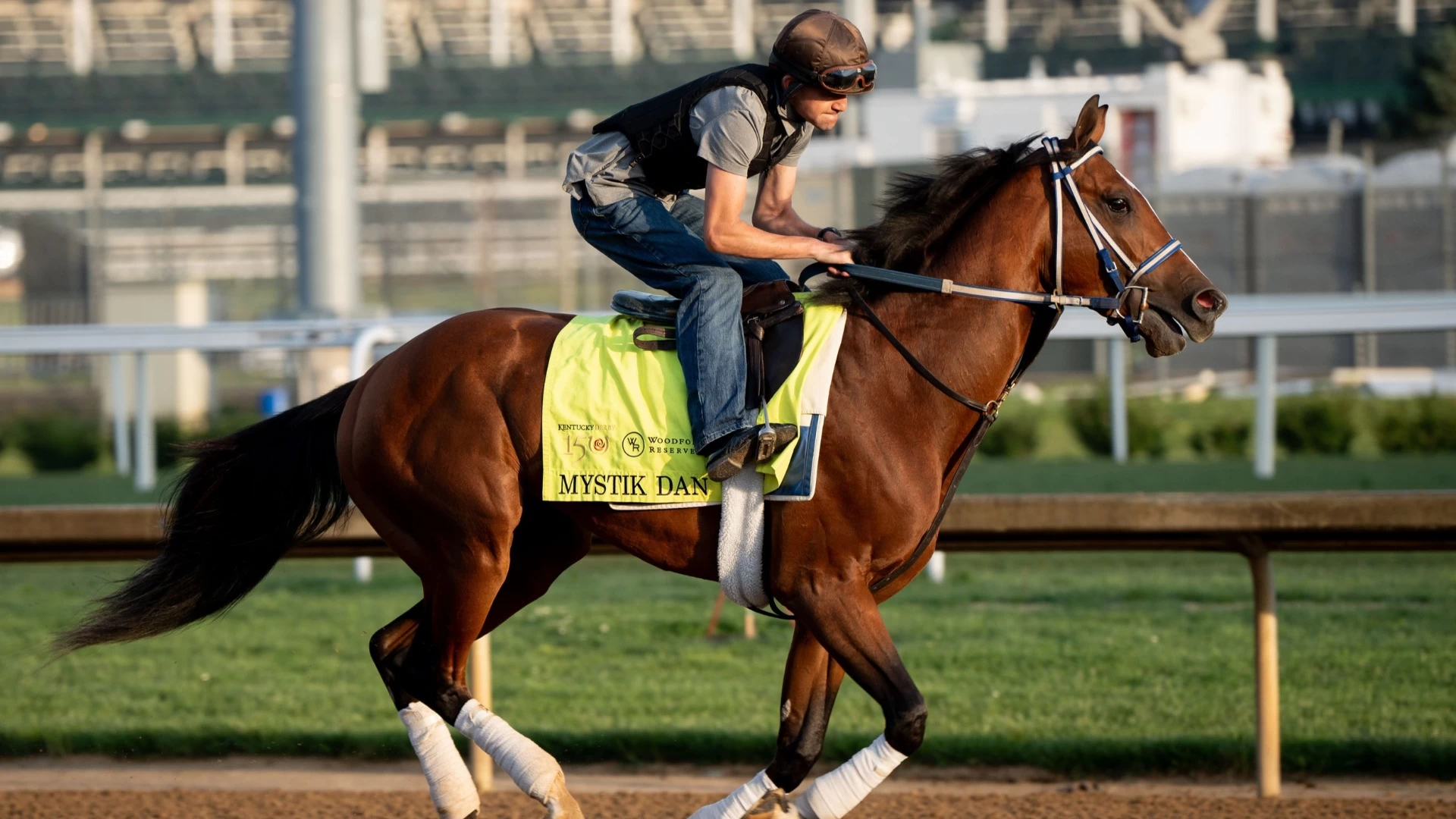 Analyzing Top Contenders at the Gulfstream Park Race