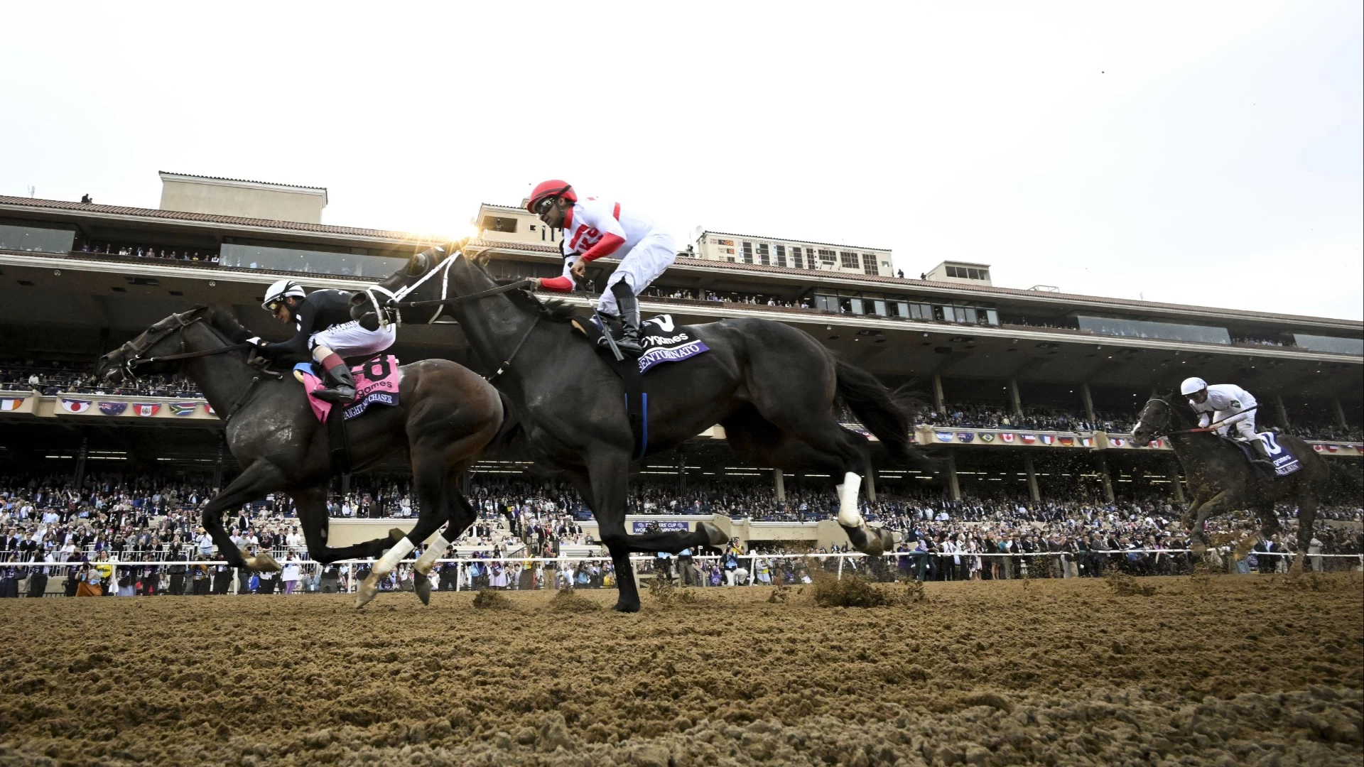 Strategies for Gulfstream Park Pick 5 Horse Racing