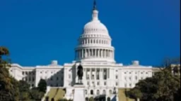 Tragic Plane Crash Impacts Sports Community in DC.