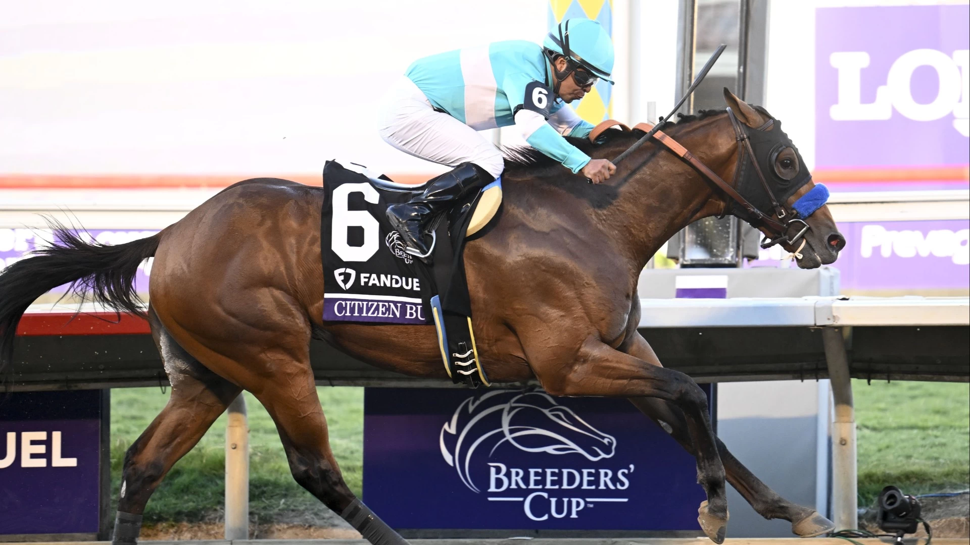 Insight on Santa Anita Race: Field Dynamics & Strategies