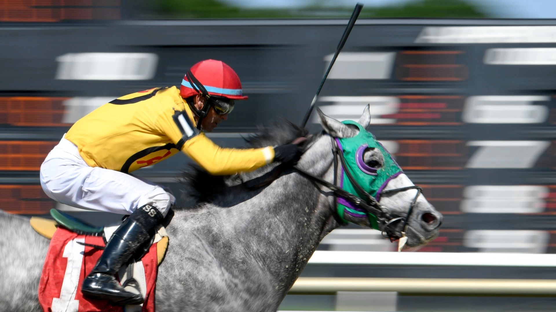 Silver Slugger Leads Tampa Bay Downs Pelican Race this Weekend