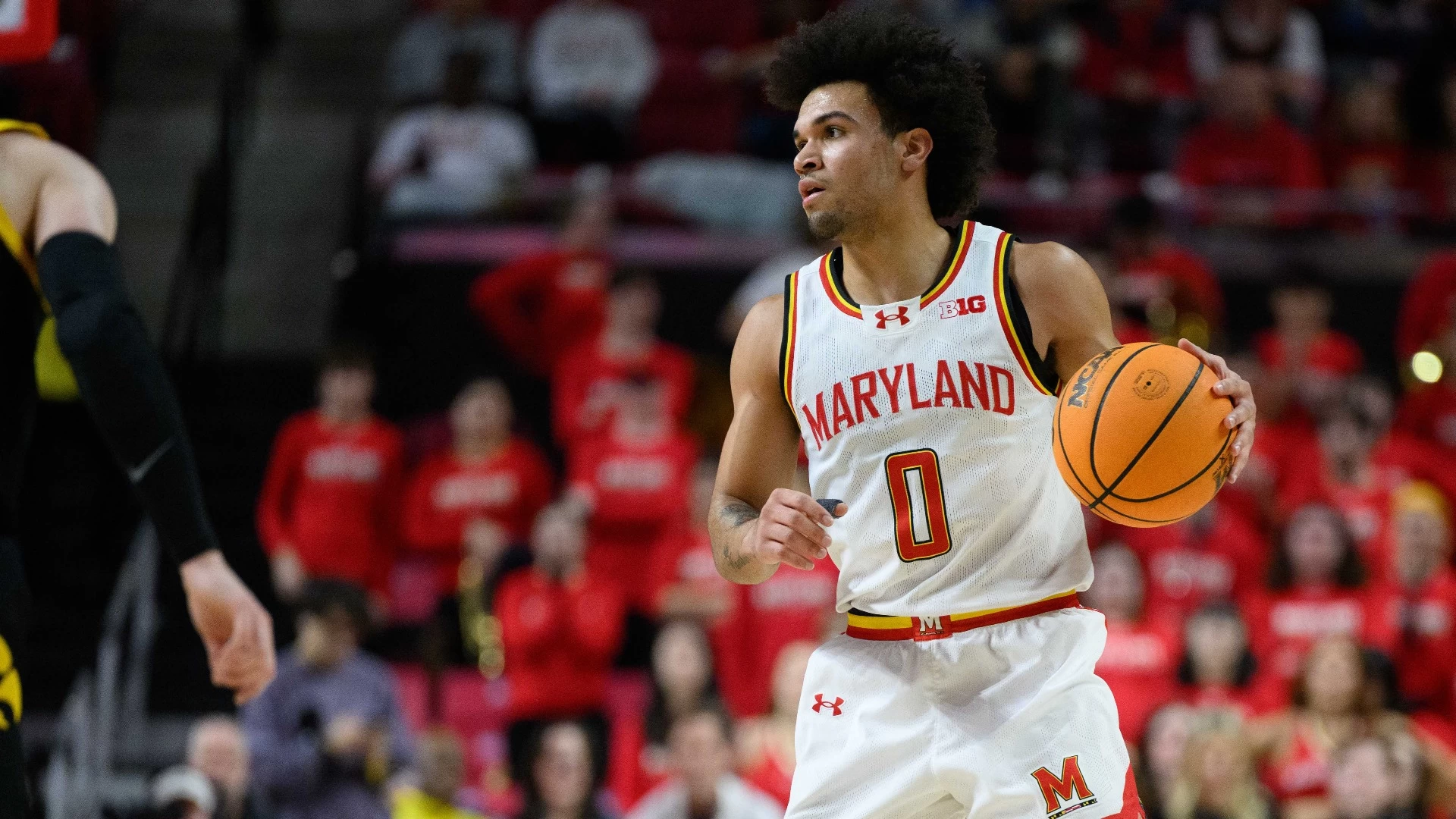 Florida vs. Maryland: Unpacking the Surprising 6.5-Point Spread