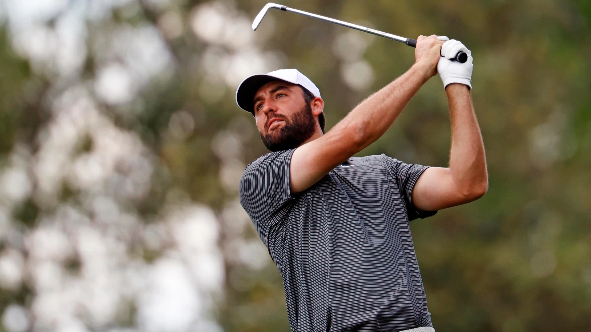 Scottie Scheffler Aims for Victory at RBC Heritage 2024