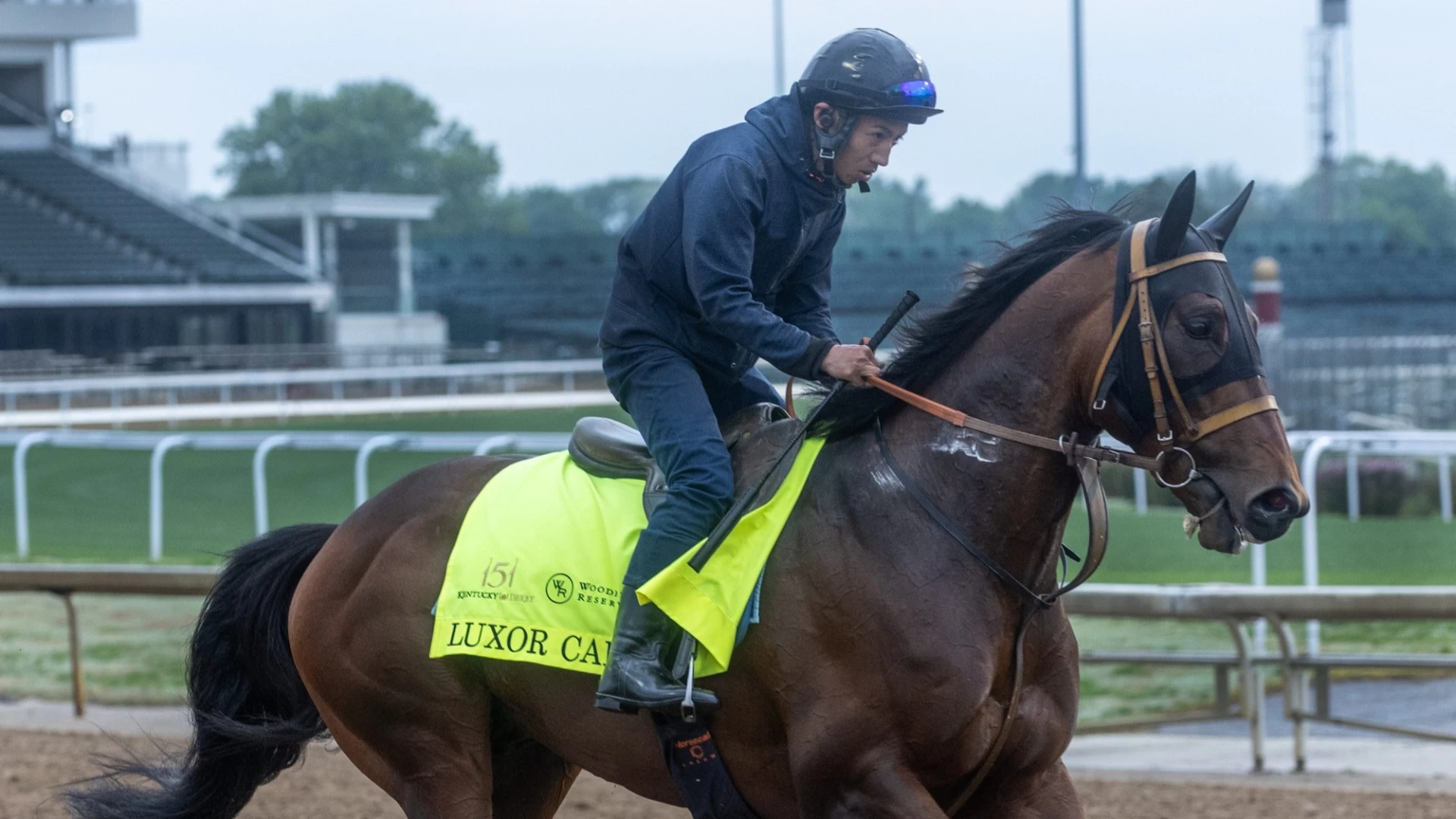 Analyzing Top Contenders for the Upcoming Kentucky Derby