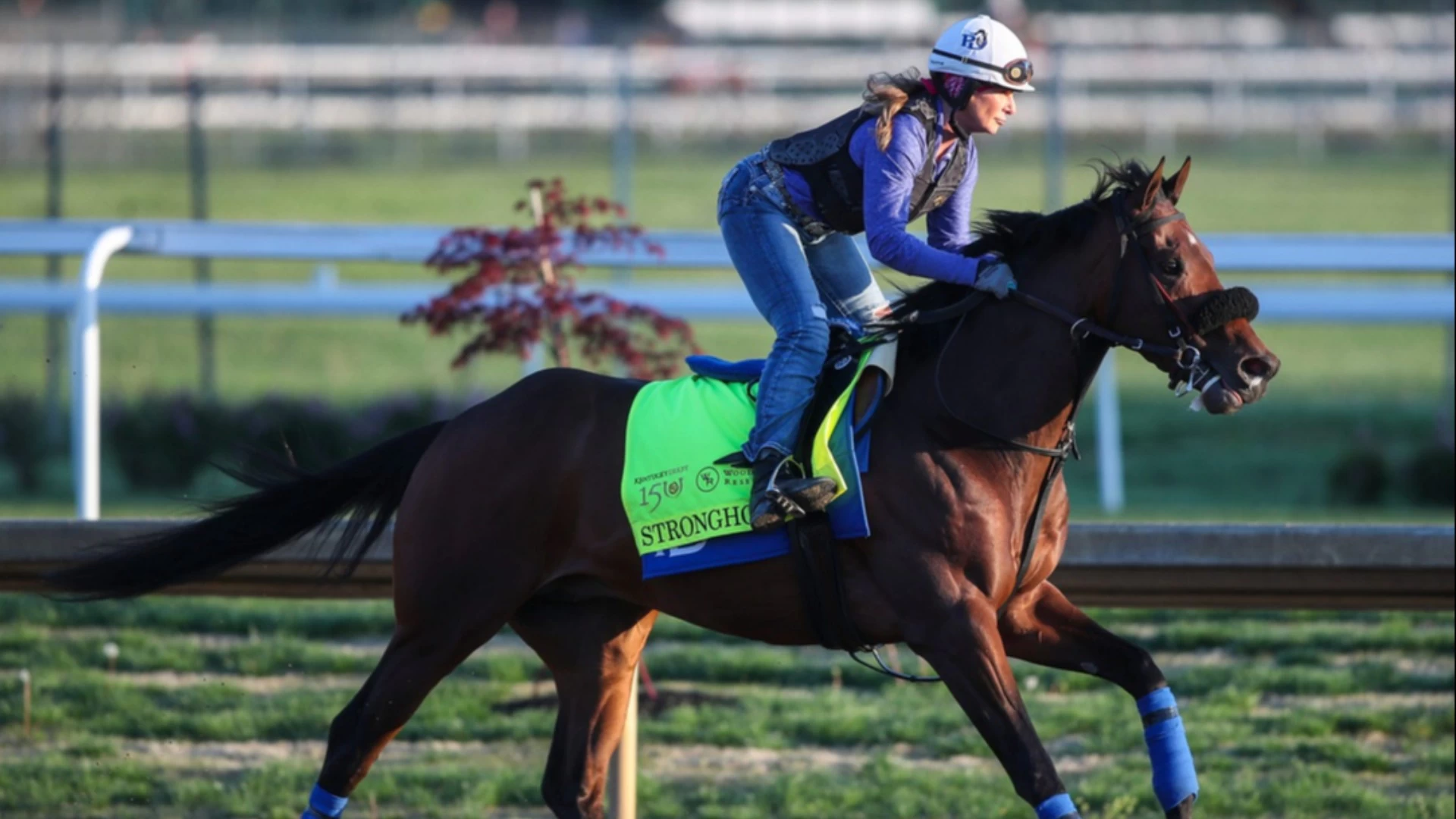 2025 Southern California Horse Racing Insight & Best Bets