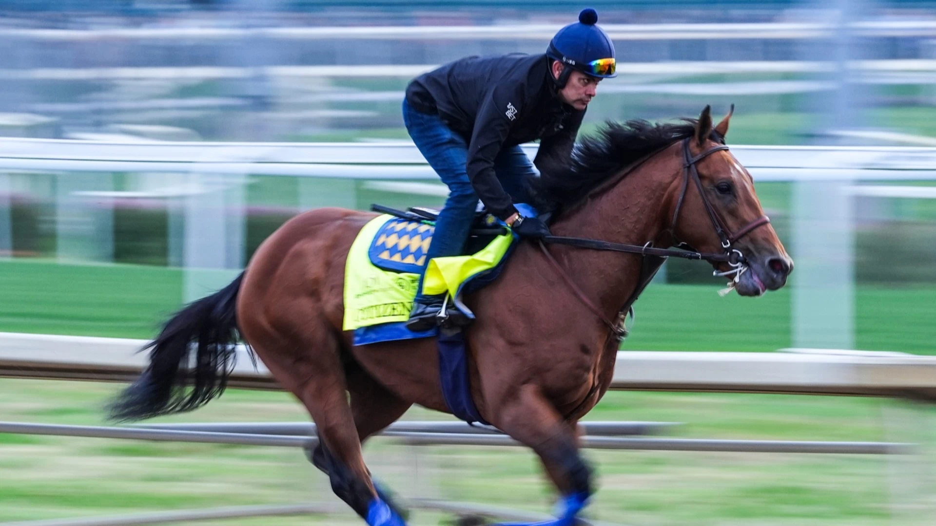 Impact of Speed Horses in the Race Strategy Analysis