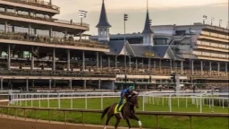 Kentucky Derby Insights - Expert Picks & Handicapping Tips