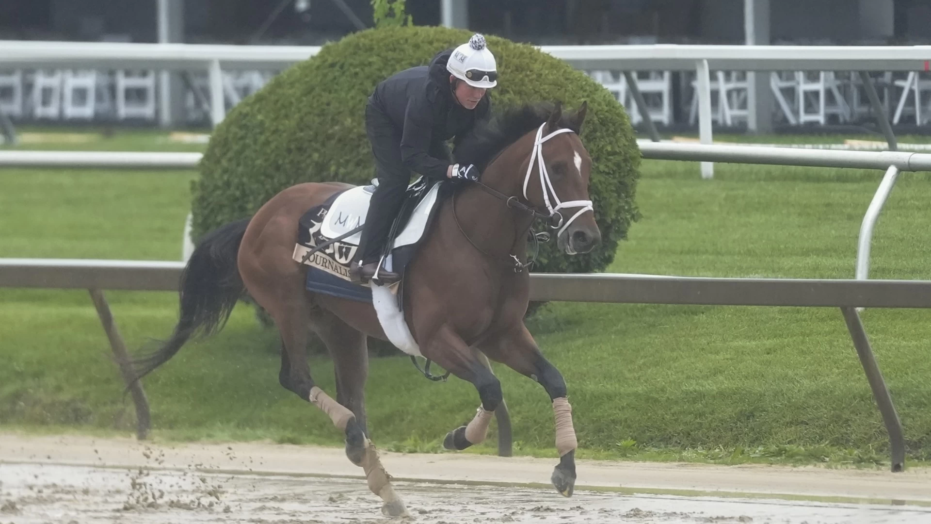 Journalism's Strong Show in Kentucky Derby: Preakness Preview