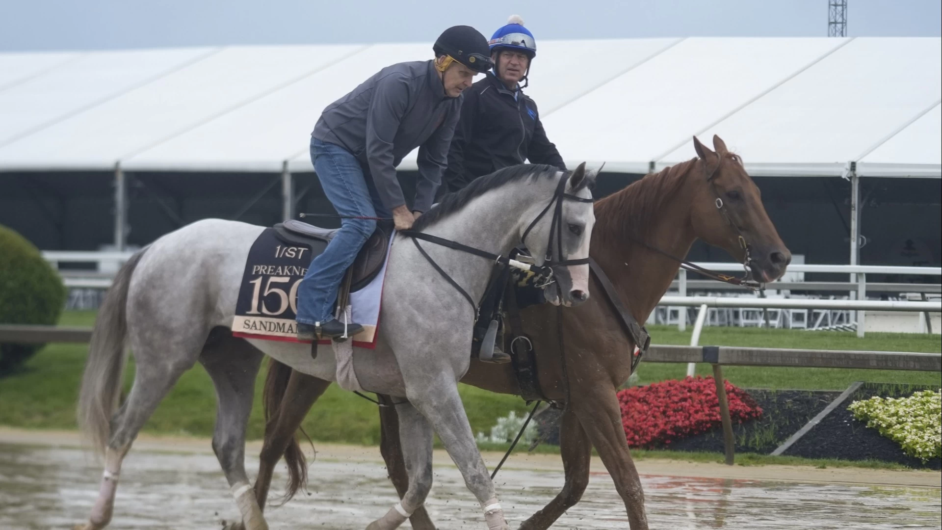 Analyzing Preakness Stakes Strategy & Betting Insights