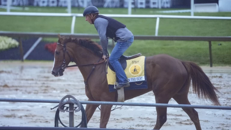 Liam in the Dust: Analyzing Top Horse Racing Picks