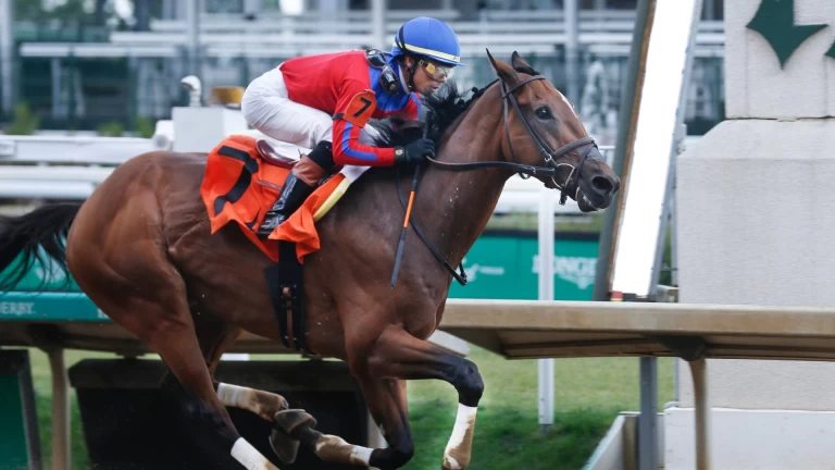 Analyzing Top Contenders in Upcoming Pimlico Special