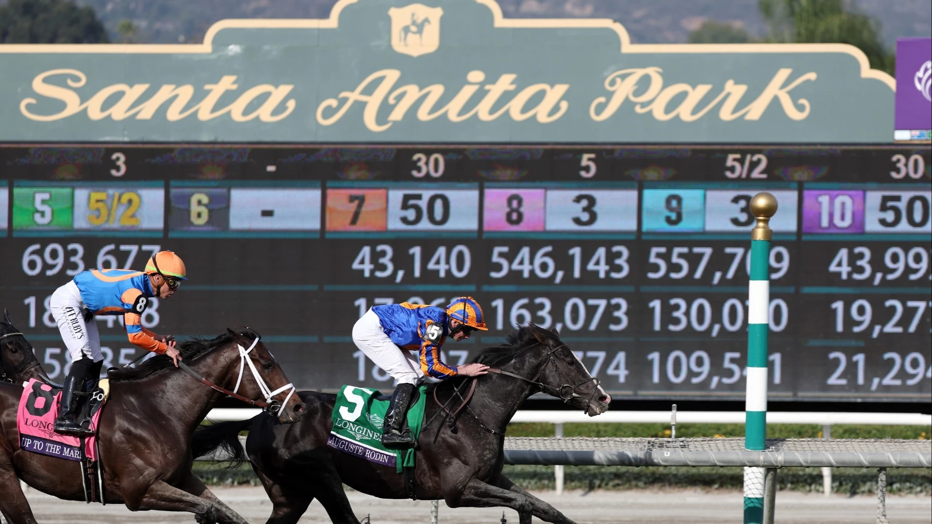 Exciting Grade 1 Gamely Stakes Analysis & Predictions