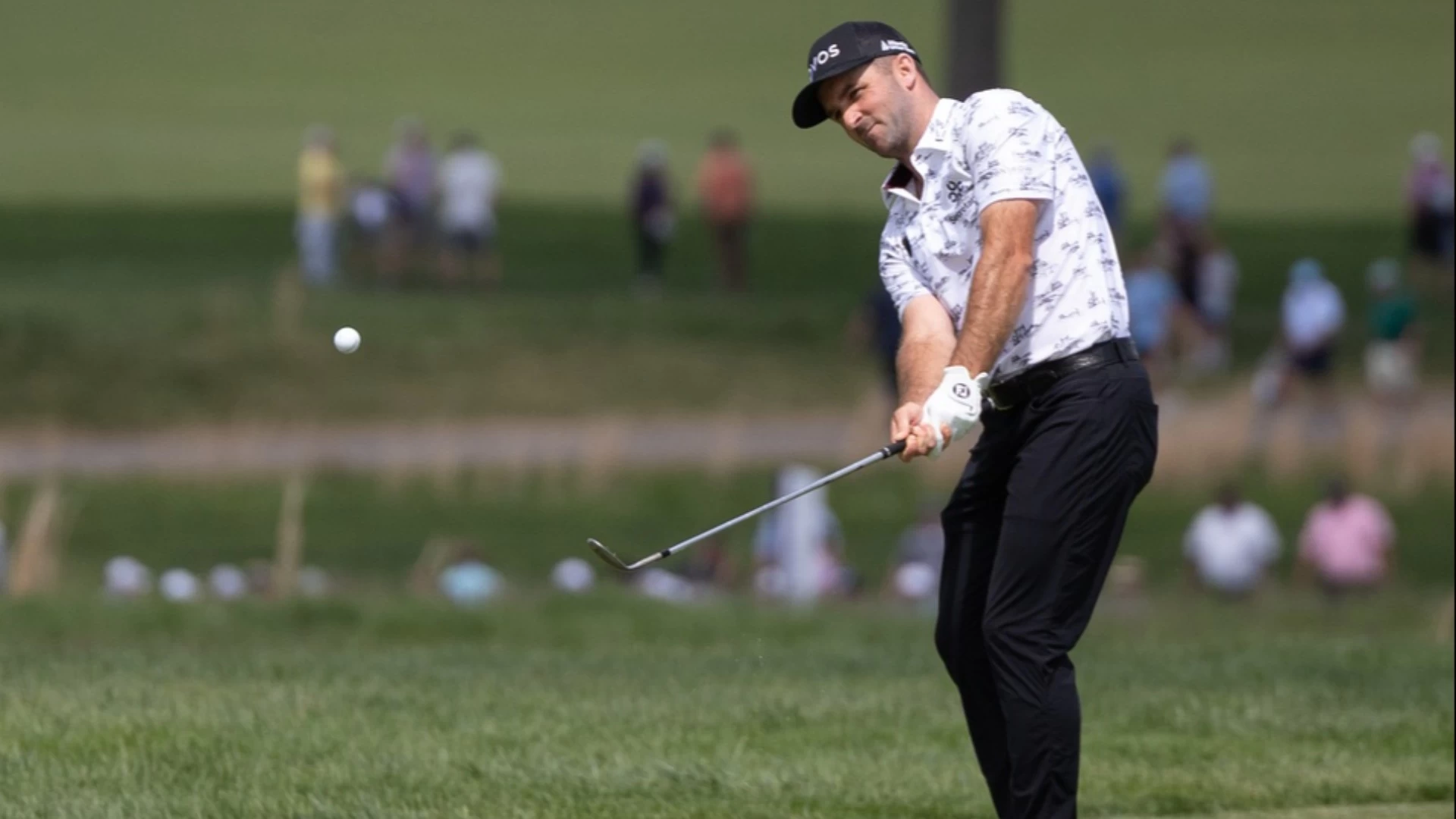 Predicting Memorial Placements for McCarthy & Fitzpatrick