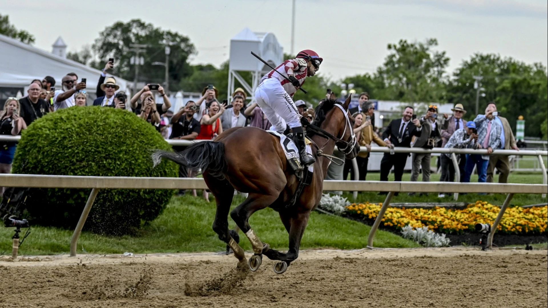 2025 Royal North Preview: Horse Racing Insights & Best Bets