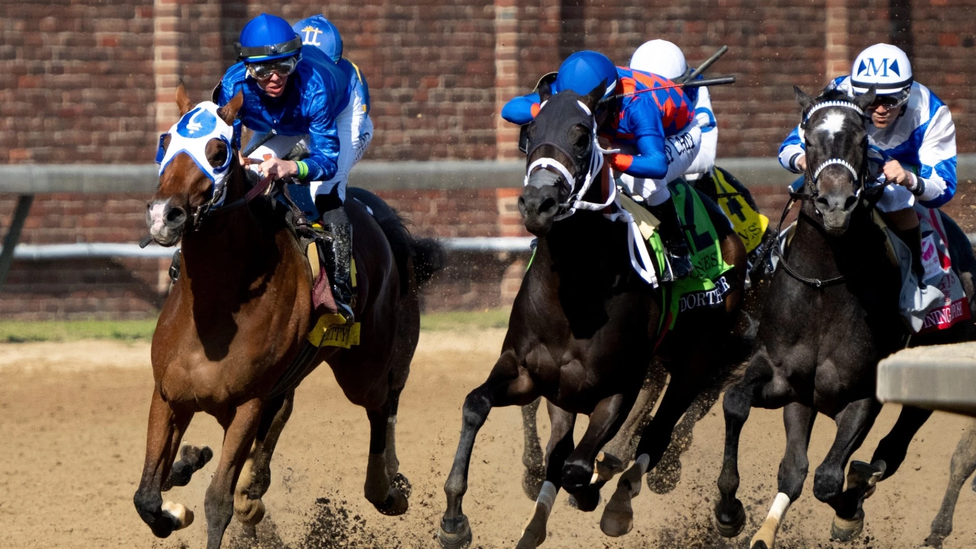 Top Contenders and Predictions for the Ogden Phipps Race