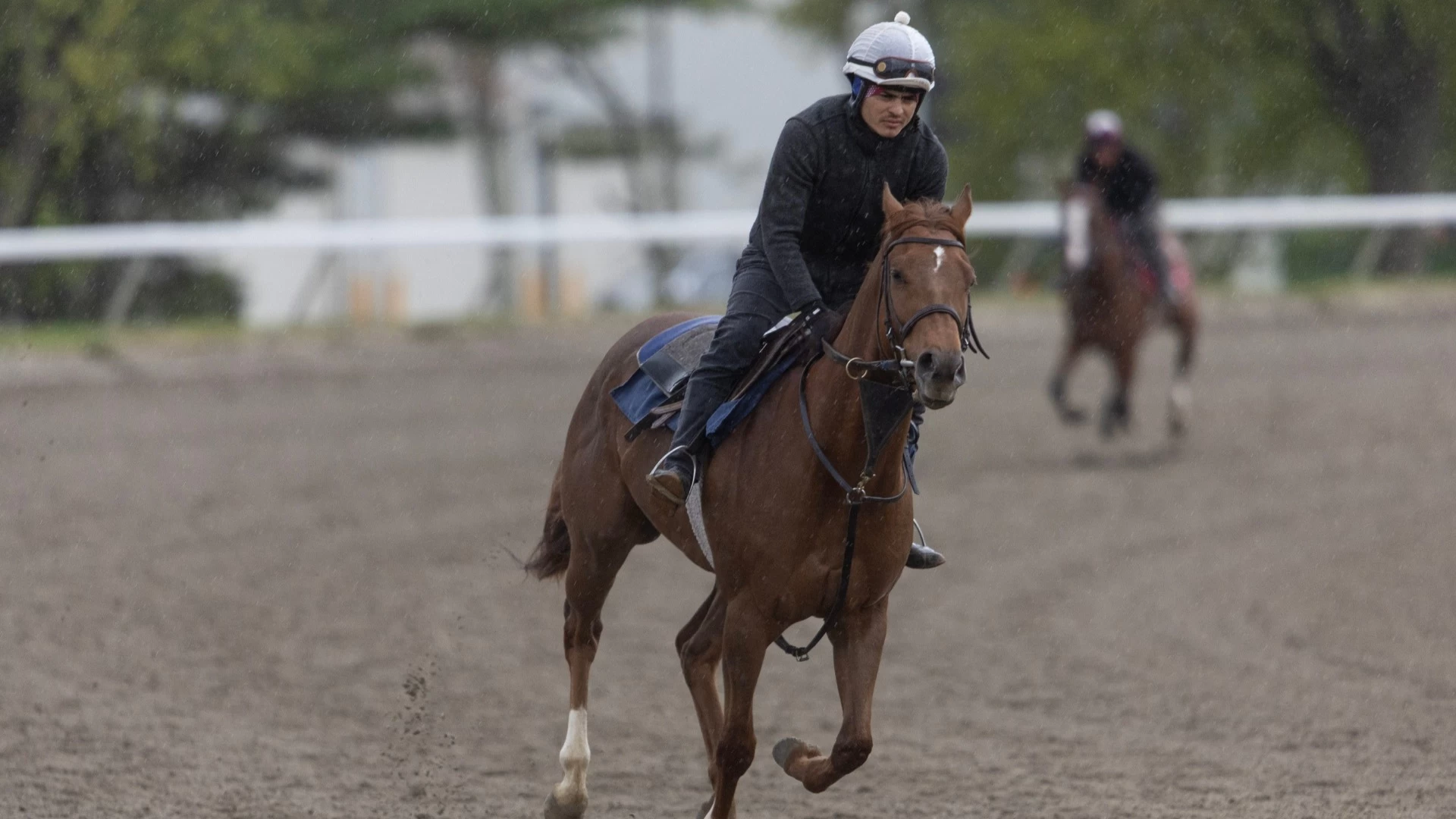 Previewing Monmouth Park Race 10: The Salvatore Mile