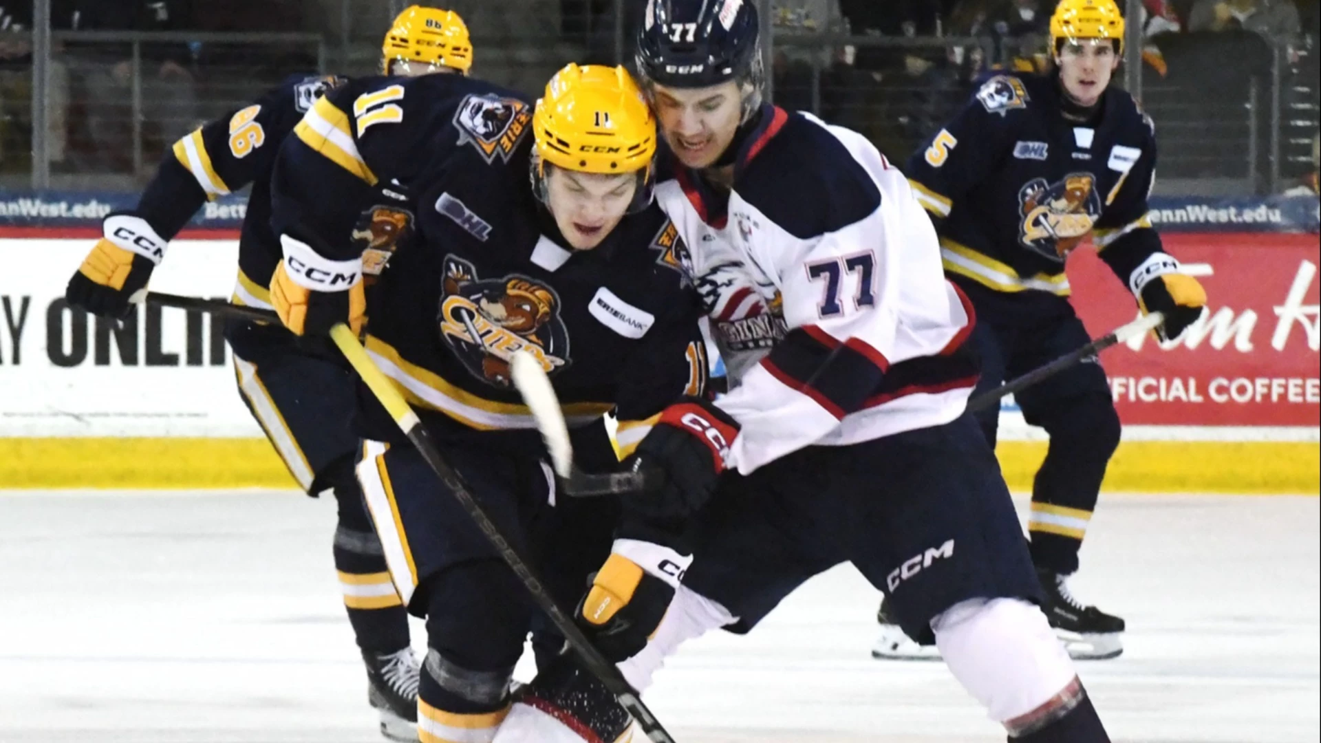 Anton Frondell Surges as Favorite for 2nd NHL Draft Pick