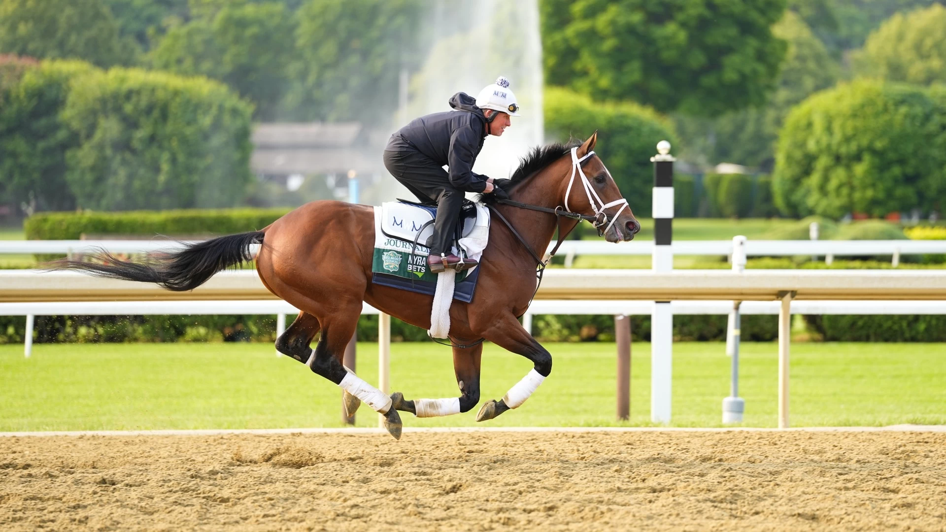 Journalism's Odds at This Year's Haskell Stakes at Monmouth