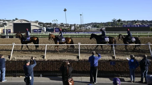 Del Mar's 9th Race Preview: Best Bets & Predictions