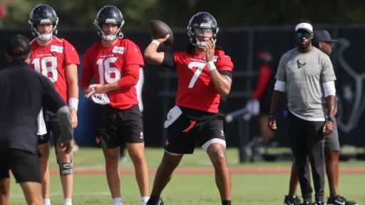 Exploring Houston Texans' Strategies & Expectations in 2025