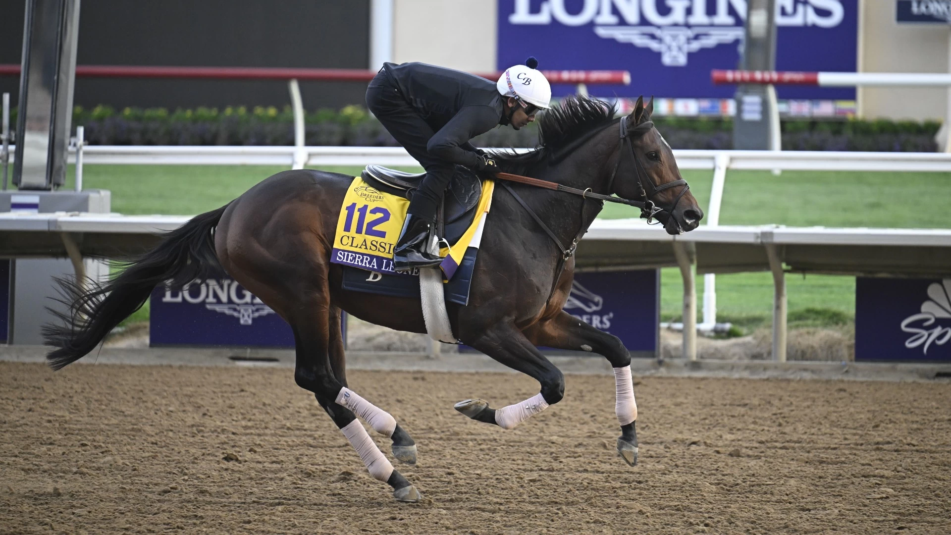 Previewing The Whitney Stakes at Saratoga: Key Insights
