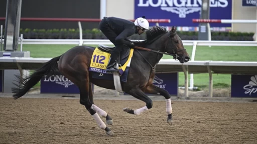 Previewing The Whitney Stakes at Saratoga: Key Insights