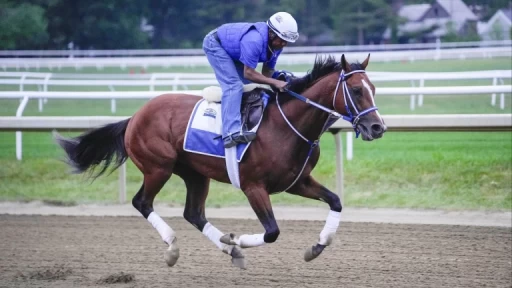 Former Kentucky Derby Winner Mystik Dan Races This Weekend