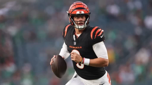 Cincinnati Bengals: Can They Claim the Division Title?