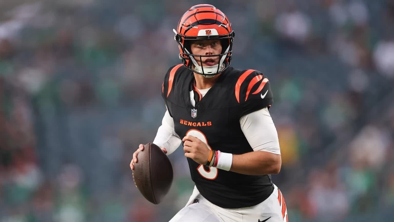 Cincinnati Bengals: Can They Claim the Division Title?