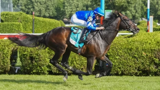 Saturday King's Plate Preview: Father vs. Son Showdown