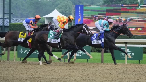 Analyzing Race Strategies and Horse Performance Insights