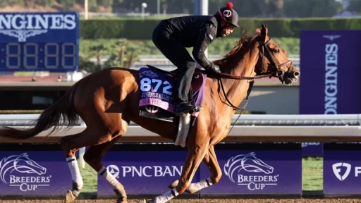 Classy Phillies Compete in Grade One E.P. Taylor Stakes