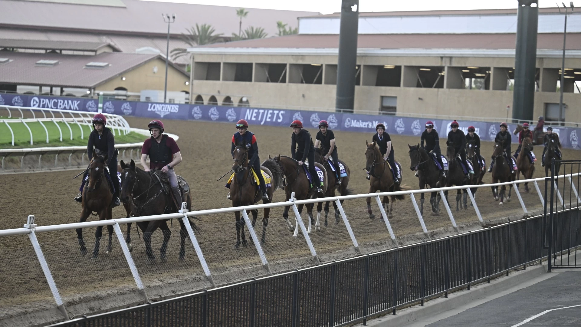 Delmar Handicap Analysis: Horse Profiles & Predictions