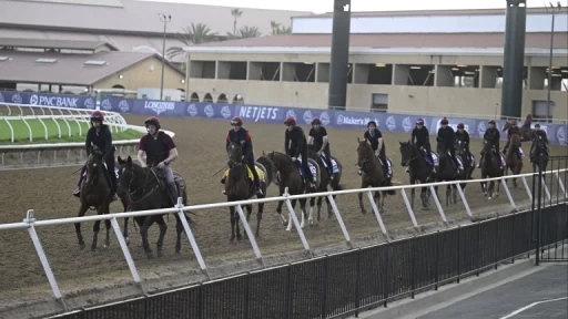 Delmar Handicap Analysis: Horse Profiles & Predictions