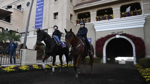 Exploring Mahina's Consistent Racing Strategy and Form