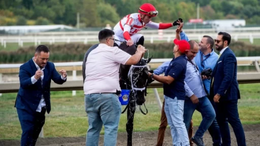 Analyzing Scottish Lassie's Edge Amongst Her Competitors