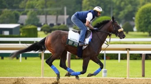 Analysis of PA Derby Horses' Performances & Betting Odds