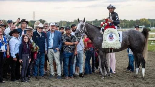 Exploring Strategy in Horse Racing Wagers and Odds