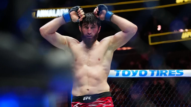 UFC 320: Ankalaev vs. Pereira in an Intriguing Rematch