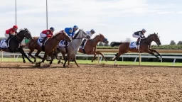 First Lady Stakes Preview: Insights on Betting Odds & Picks