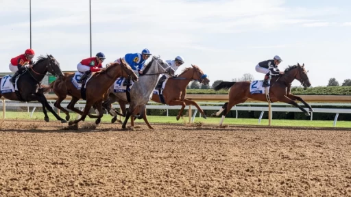 First Lady Stakes Preview: Insights on Betting Odds & Picks