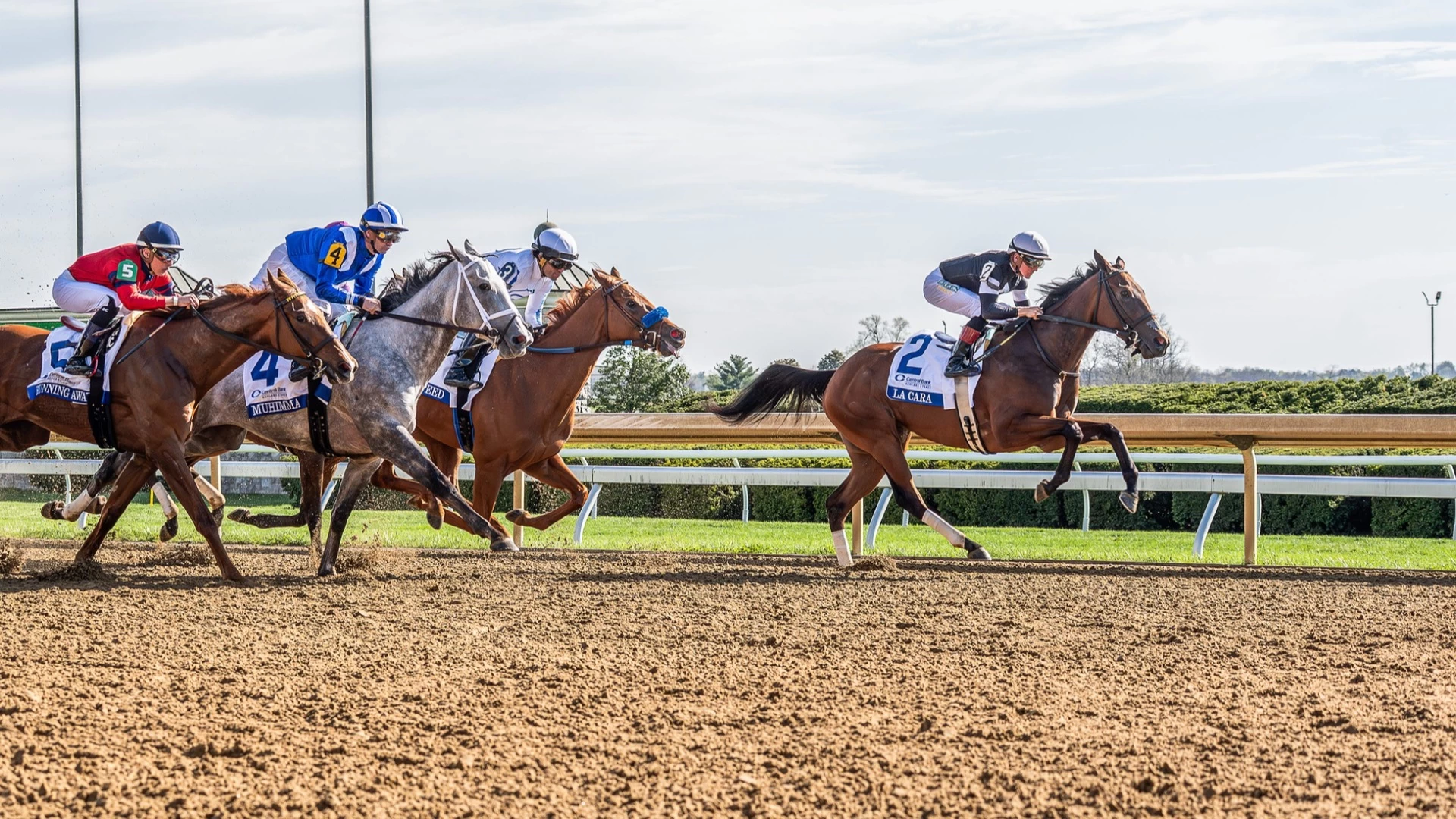 Coolmore Turf Mile Best Bets: Top Contenders & Odds