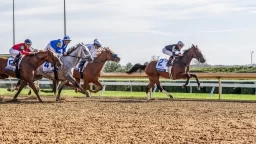 Coolmore Turf Mile Best Bets: Top Contenders & Odds