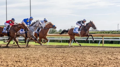 Coolmore Turf Mile Best Bets: Top Contenders & Odds
