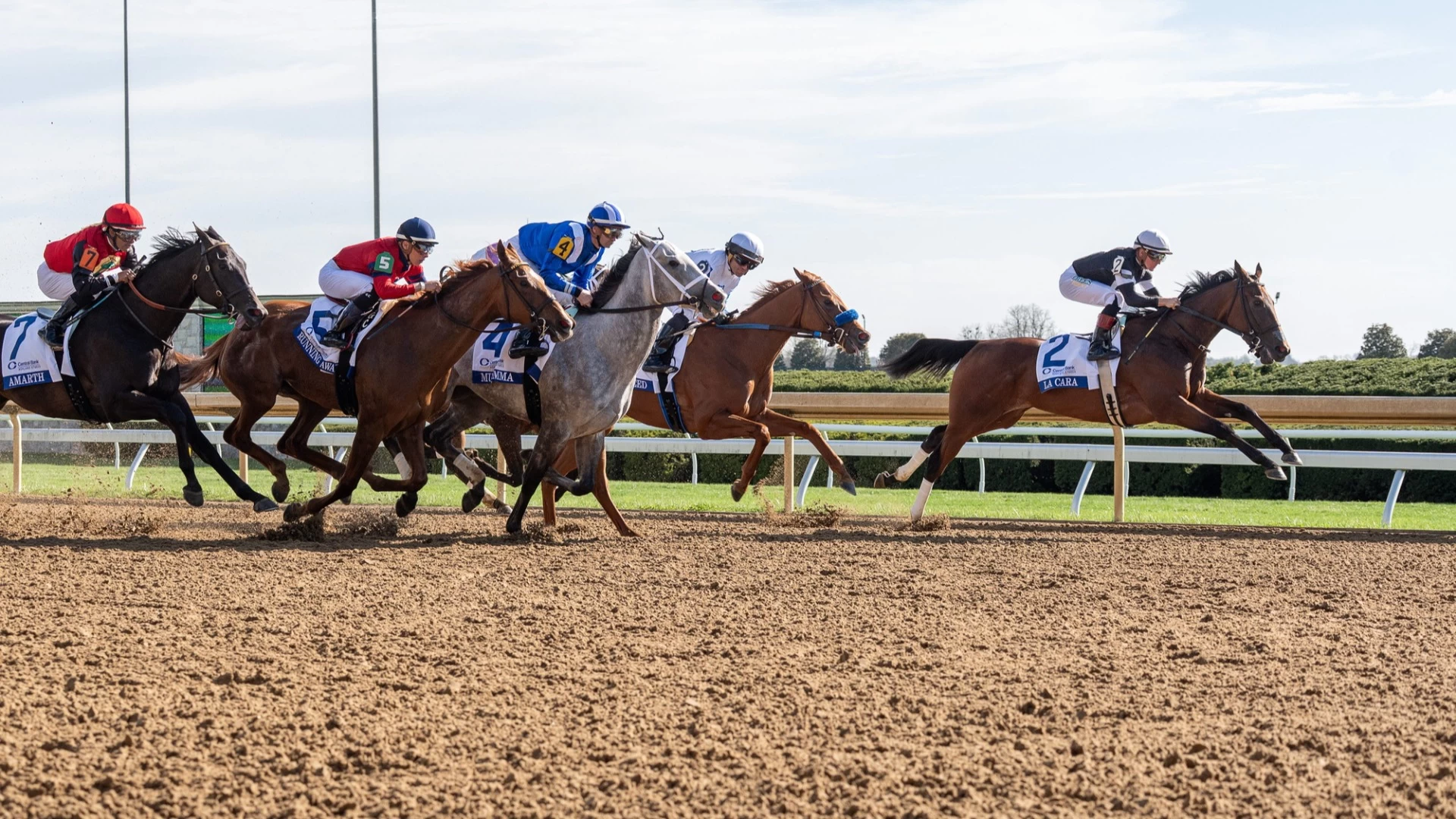 Queen Elizabeth II Challenge Cup: Lush Lips' Betting Odds