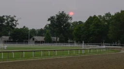 Assessing Horse Form and Tactics for Glen Cove Stakes