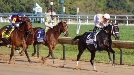 Raven Run Stakes Preview: Gino & Scott's Betting Picks